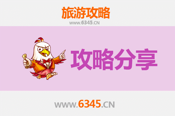 佳木斯东风至湄洲岛旅游攻略：跟团 vs 自由行深度解析